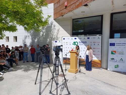 Exposición en Baena